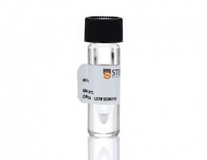 Anti-Mouse Ly-49A Antibody, Clone YE1/32.8.5