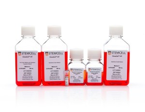 ClonaCell-HY for Hybridomas, kit