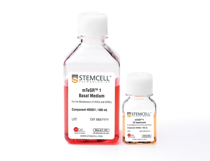 mTeSR1 Complete Kit for hES Maintenance