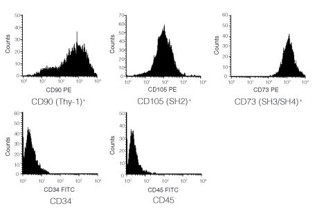 https://www.stemcell.com/media/images/data-figures/05429/05429_img04.jpg