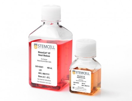 MesenCult™-XF Medium